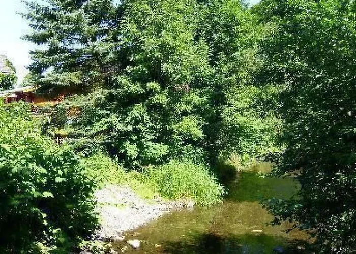 In Mit Schoener Terrasse By Interhome * Walkenried